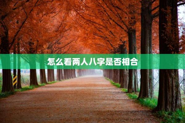 八字看夫妻缘