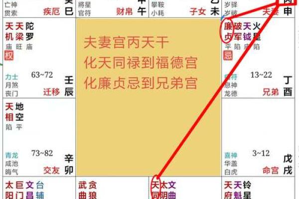 新白娘子紫薇斗数