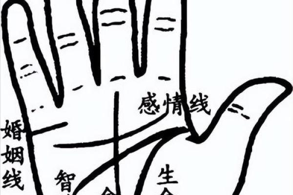怎么看手相算命，怎么看手相算命图解