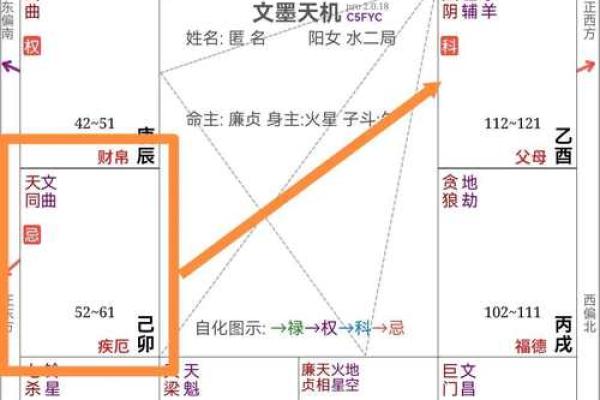 紫微斗数流年疾厄宫化科