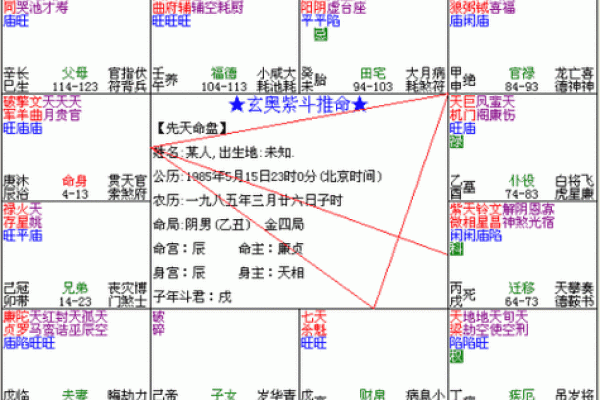 紫薇斗数能看出什么