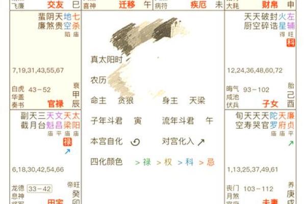紫薇斗数命格