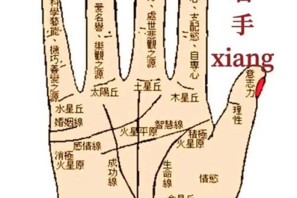 男士手相算命