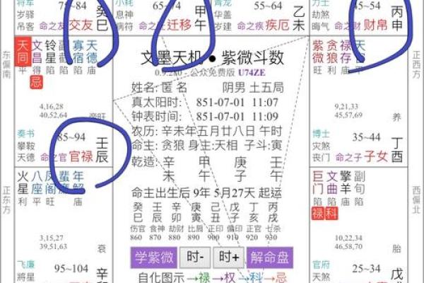 紫微斗数化忌对照 紫微斗数化忌入各宫？