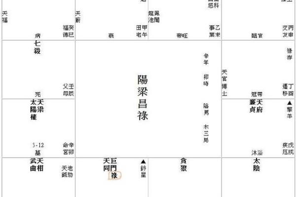 紫薇斗数流分盘