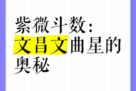 紫薇斗数文曲男