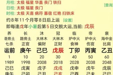 生辰八字丙辛合化水
