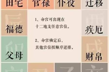 叠宫紫薇斗数