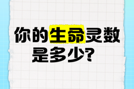 怎样测试生命灵数配对
