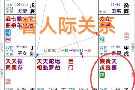 新白娘子紫薇斗数