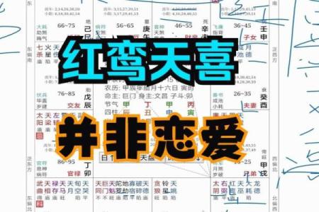 紫微斗数红鸾在官禄宫