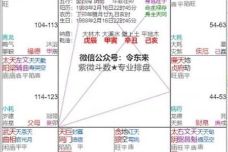 紫薇斗数逢凶化吉星