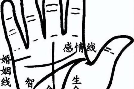 怎么看手相算命，怎么看手相算命图解