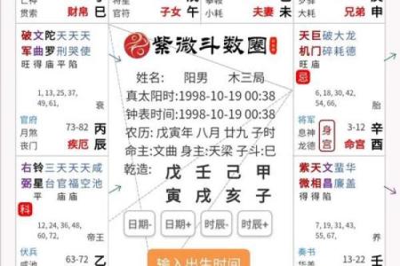 王员外紫薇斗数