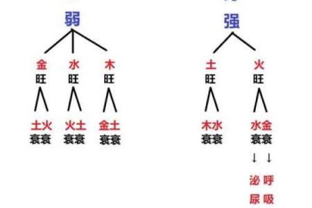八字疾病类象 八字疾病如何预防