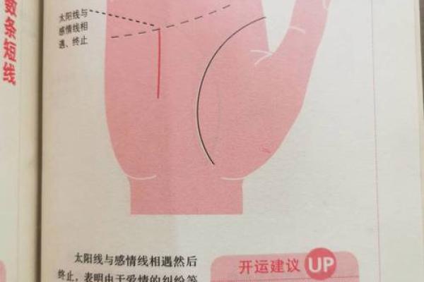 手相太阳线揭秘算命图解大全