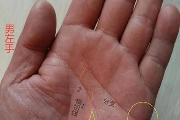 男人左手手纹算命图解 男人左手手相