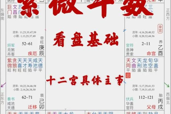 紫薇斗数的太阴
