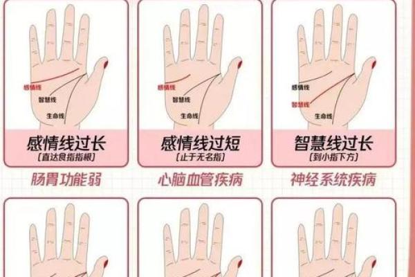 凯帝阿手相算命图解大全06