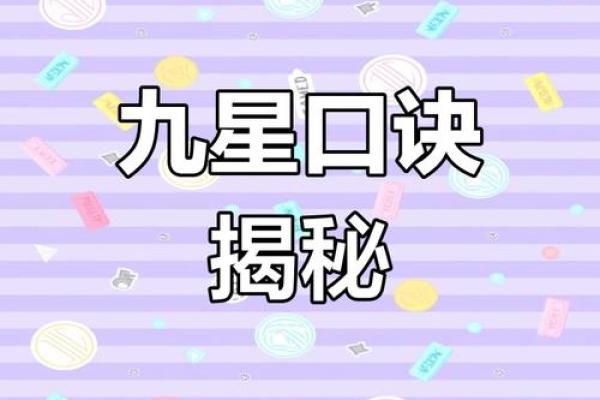 九星命理算命视频