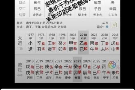 禄马同乡八字详批解析及命运分析