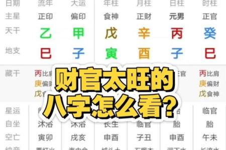 八字看财星