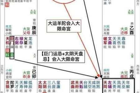 紫微斗数诸星落诸宫之，天相星：阳水疾厄宫详解