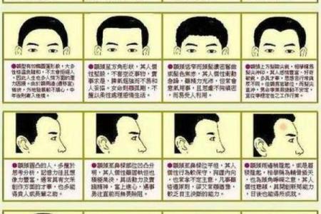 看鼻子面相算命大全