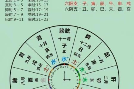从零开始学八字（八）--十二地支（6）