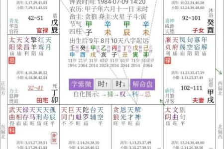 紫微斗数－贪狼星