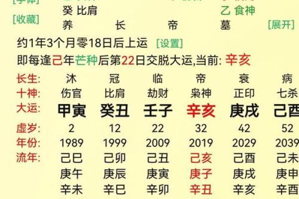 八字己巳大运是什么运势