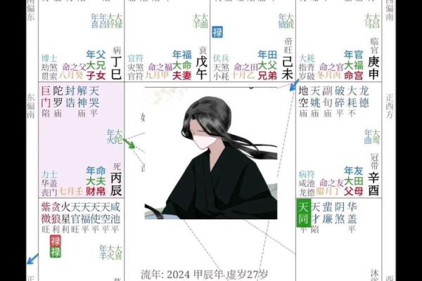 紫薇斗数实战实例
