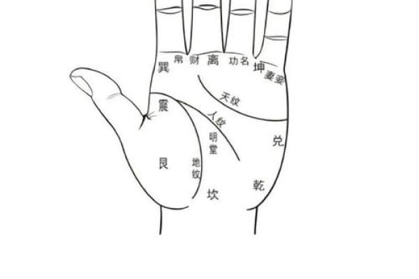 图解：手相中的感情线算命