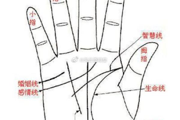 图解：手相中的感情线算命