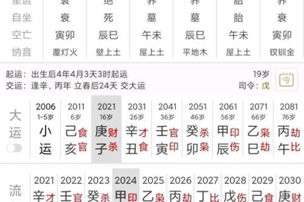 八字排盘算命软件下载