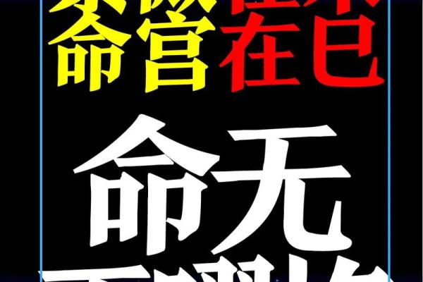 紫薇斗数命书测试