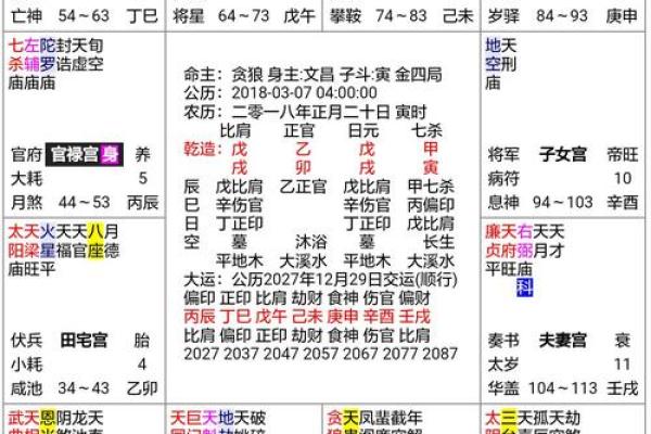 紫薇斗数文机