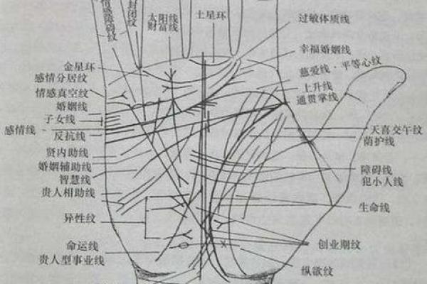 看男人手相算命图解 中指长的会富贵