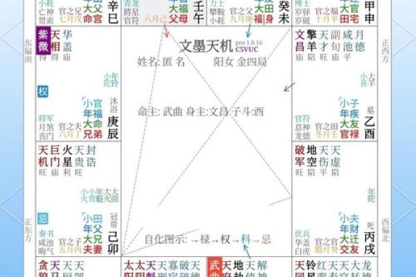 紫薇斗数博客排名