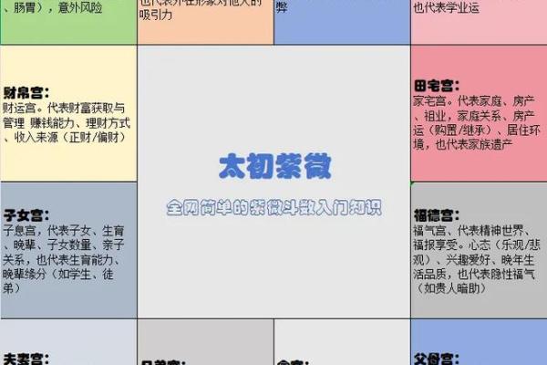 名人紫薇斗数案例