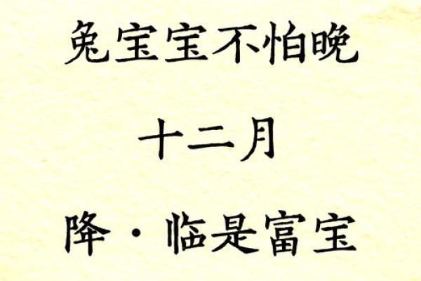 兔宝宝生辰八字