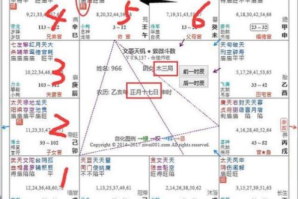 紫薇斗数导语