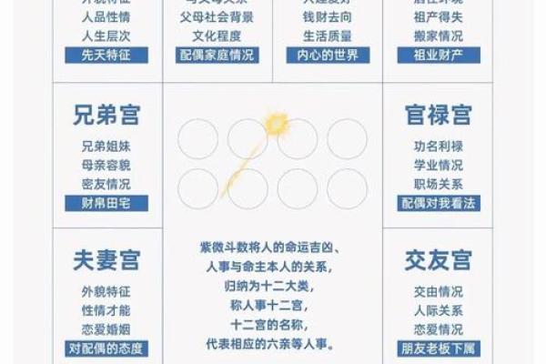 紫薇斗数导语