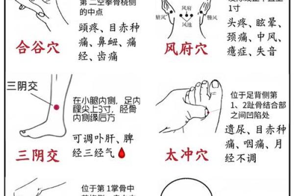 风水中的穴位有哪些禁忌