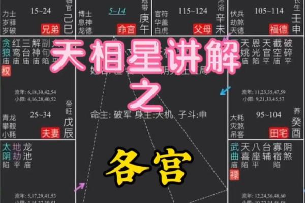 紫微斗数之迁移宫与诸星,天相星在迁移宫是什么意思? 紫微斗数之迁移宫与诸星,天相星在迁移宫是什么意思?
