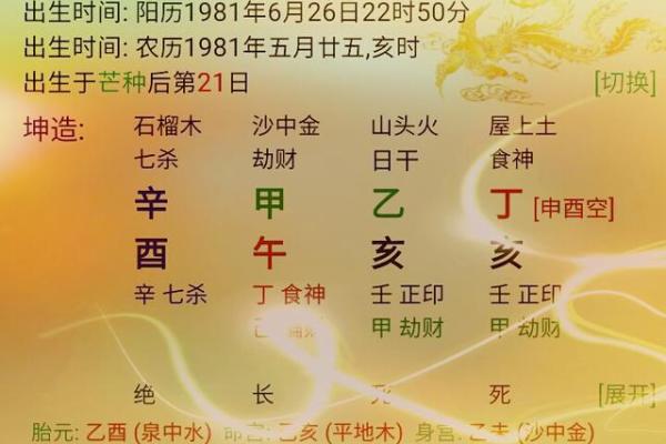 八字岁运