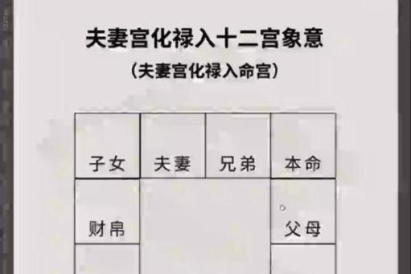 配偶本地外地紫薇斗数