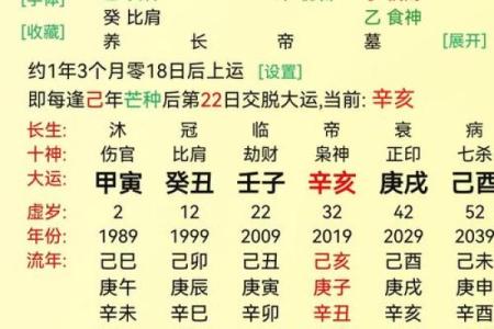 八字己巳大运是什么运势