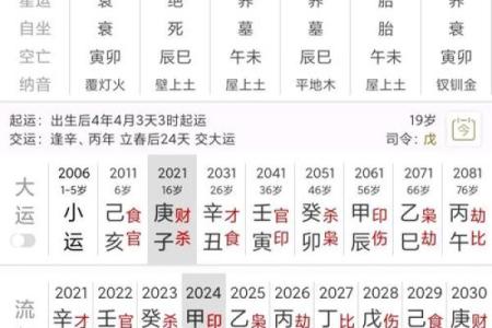 八字排盘算命软件下载