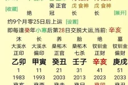 文江勇八字喜用神第三十一讲